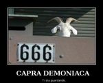 capra-demoniaca.jpg