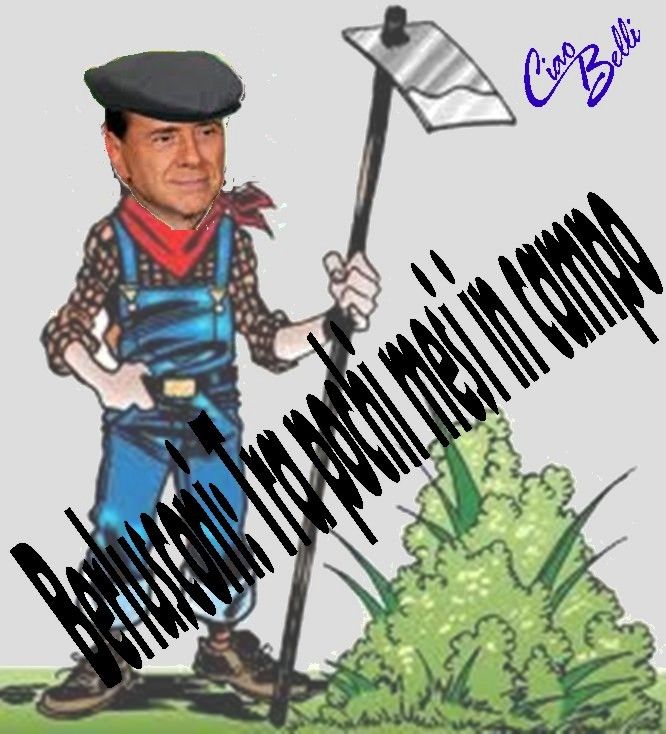 zas.jpg