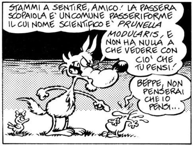 litalia-delle-puttane-si-affida-alla-passera-L-RQTa4i.jpeg