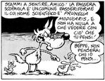 litalia-delle-puttane-si-affida-alla-passera-L-RQTa4i.jpeg