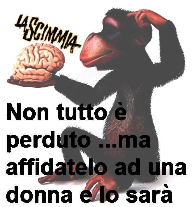 Scimmiayyy.jpg