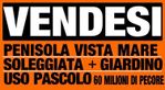 vendesi-italia1.jpg