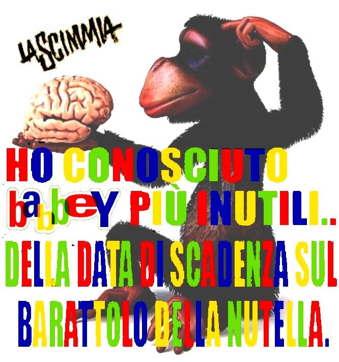 Scimmiacer.jpg