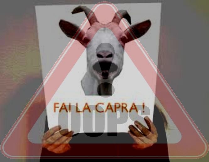 Cartpz.jpg