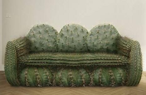 divano-cactus.jpg