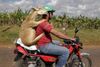 Pecora-in-moto.jpg