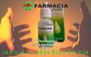 domenica delle Palme 2011_clip_image017.jpg