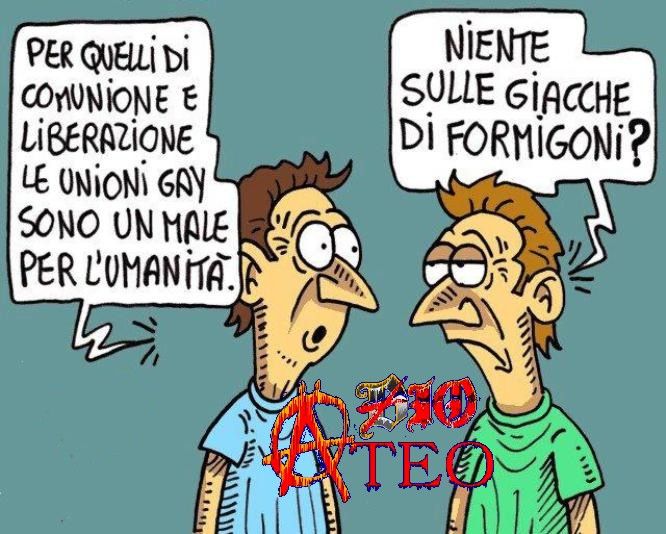 comunione-e-liberazione-i-matrimoni-gay-sono--L-K6W3zq.jpeg