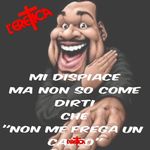 Qndfg.jpg