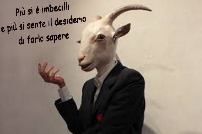 Kkiuopx.jpg
