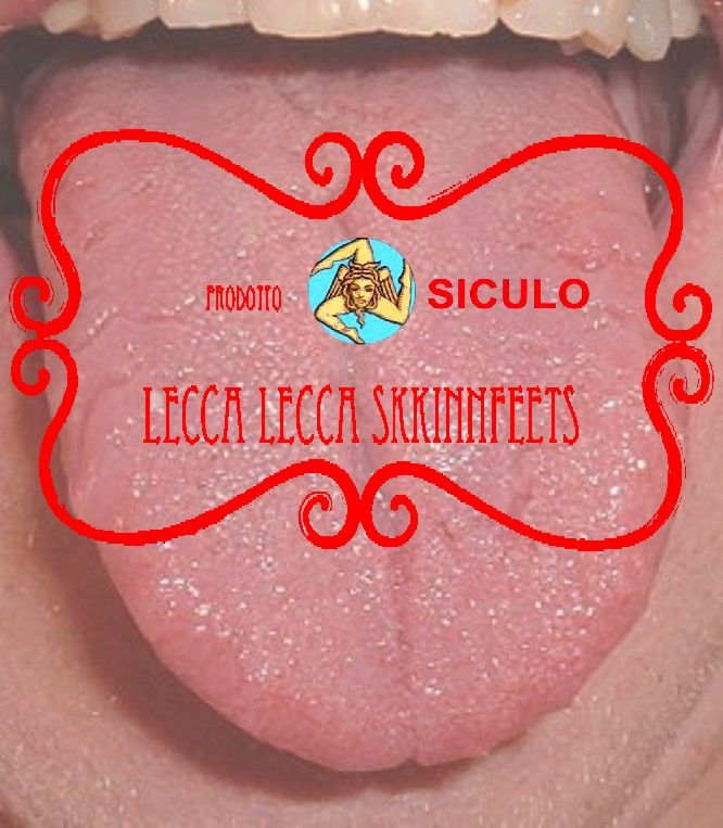 la-lingua-dei-lecchini-di-regime.jpg