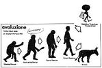 evoluzione.jpg