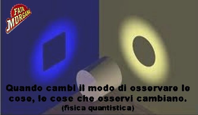 fis.jpg