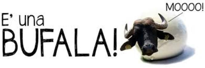 BUFALA.jpg