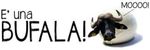BUFALA.jpg