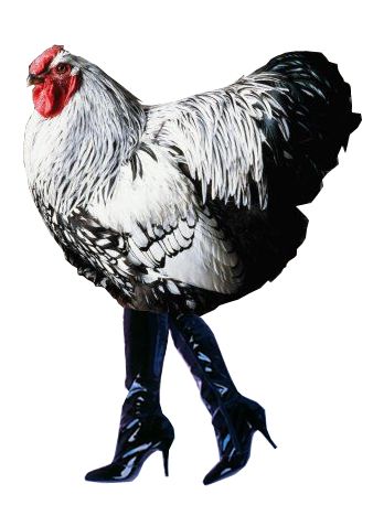 Gallina-alla-moda.jpg