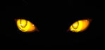 Occhi-Terrificanti-83423.gif