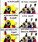 Invi1.jpg