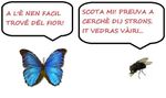 strox.jpg