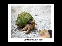 images-279.jpeg