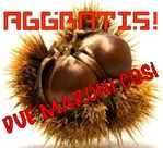 2 maronisd.jpg