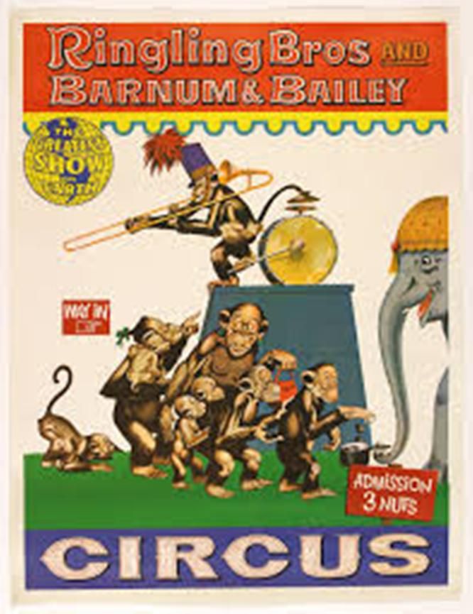 bvc.jpg
