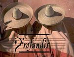 Pubblico (mythique.gaulois)