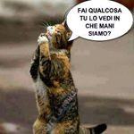 Pubblico (famo.du.piotte)