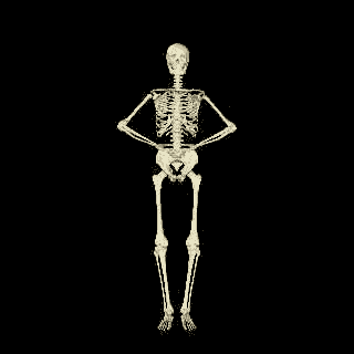 bones.gif