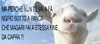 GOAT.png